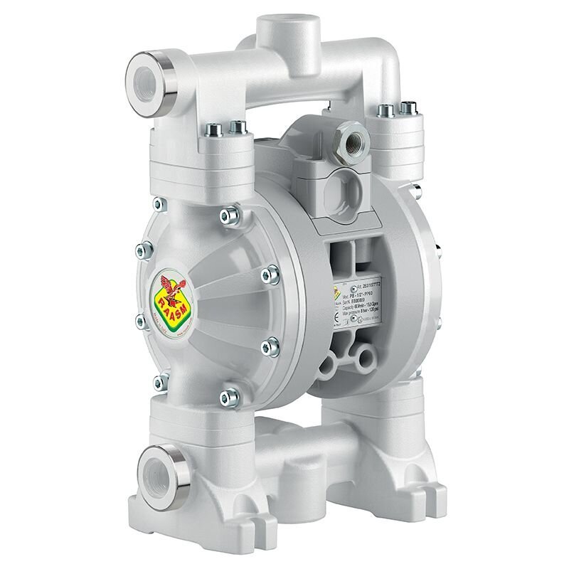 RAASM Polypropylene Diaphragm Pumps